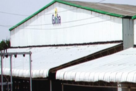 Seed Cold Storage | Seed Storage Services