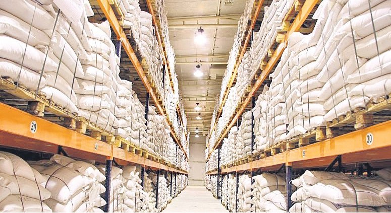 Prospective Need For: Vegetable Seed Storage - Best Cold Storage In India